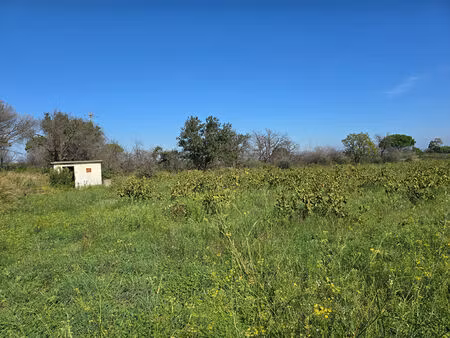 terrain argeles sur mer 3580 m2