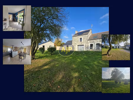 conquereuil  bien en pierres rénové  4 chs  1 hectare