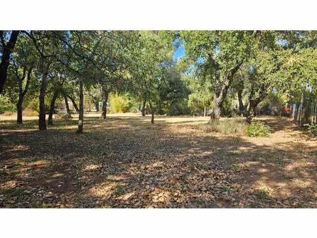 le cannet des maures - terrain constructible - 1007m²