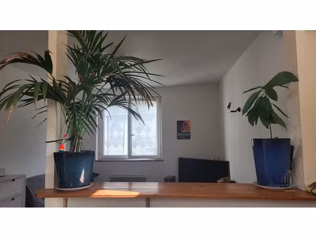 vente appartement 1 pièce 22.85 m² à le palais (56360)  121 900 €