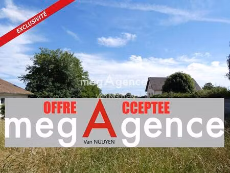 van nguyen consultant megagence