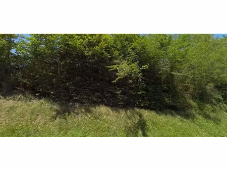 vente terrain 1251 m² à coursac (24430)  20 000 €