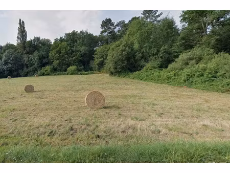 vente terrain 1500 m² à bergerac (24100)  22 000 €