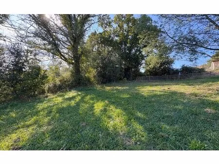 terrain halsou m² t- à vendre  160 000 €