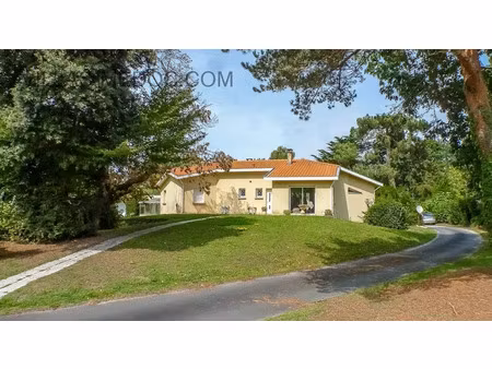 vente maison 5 pièces 106 m² à queyrac (33340)  336 000 €