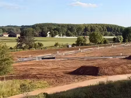 vente terrain 419 m² à montigny-les-metz (57950)  131 200 €