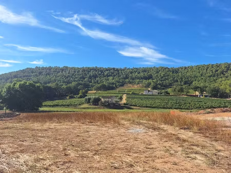 vente terrain 1072 m² à salernes (83690)  150 000 €