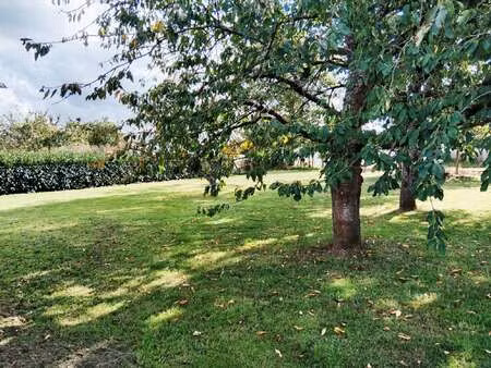 vente terrain à goven (35580) : à vendre / 1200m² goven