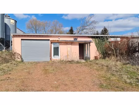 vente locaux professionnels 150 m² à dieuze (57260)  106 000 €