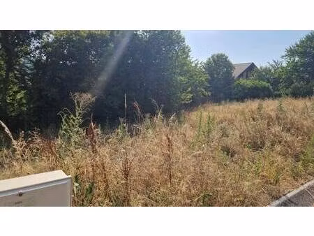 terrain constructible viabilisé à vendre