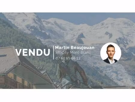 efficity martin beaujouan