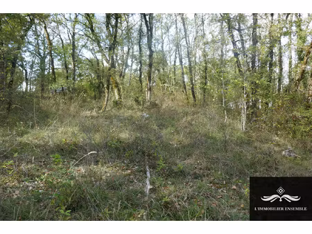 terrain à construire boisé
