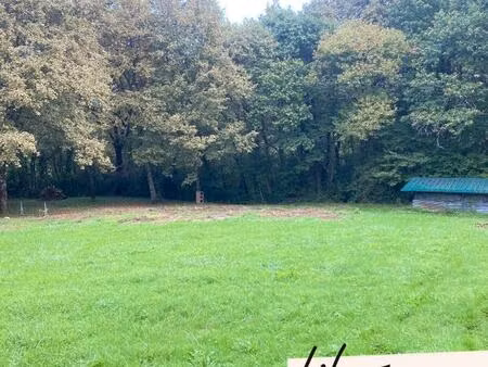 opportunité rare : terrain constructible et arboré à sainte colombe