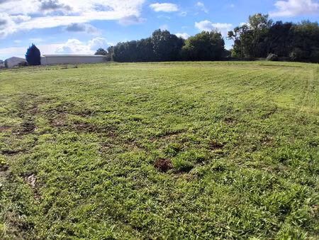 terrain plat constructible entre trizay et pont l'abbé 1557m2 au total
