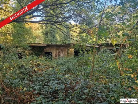 terrain - abris pour chevaux - au calme