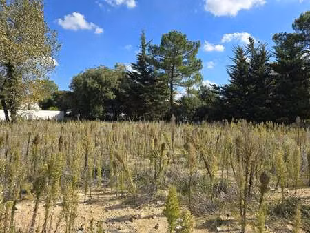 vente terrain à saint-jean-de-monts (85160) : à vendre / saint-jean-de-monts