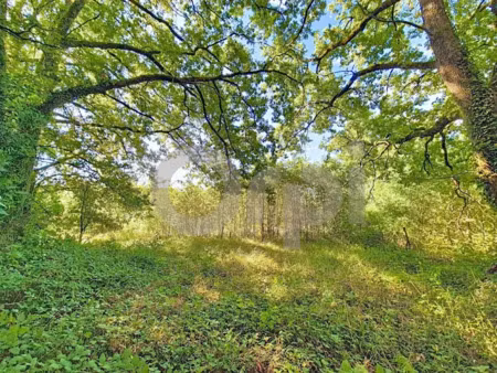 vente terrain 1224 m² à thenon (24210)  24 000 €