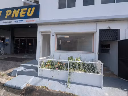 local commercial le marin 32.417 m2