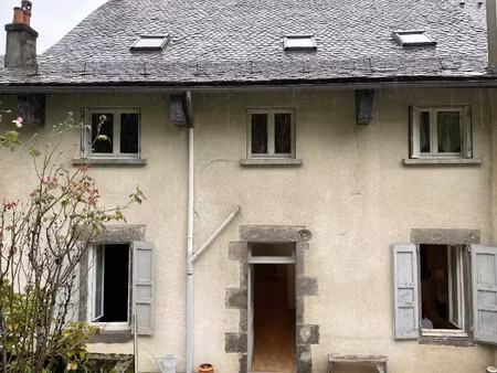 vente immeuble 227 m² saint-cernin (15310)