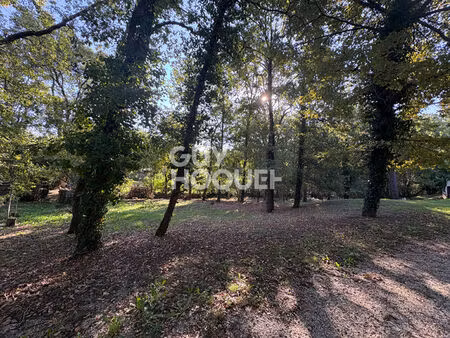 vente terrain 1000 m² bouloc (31620)