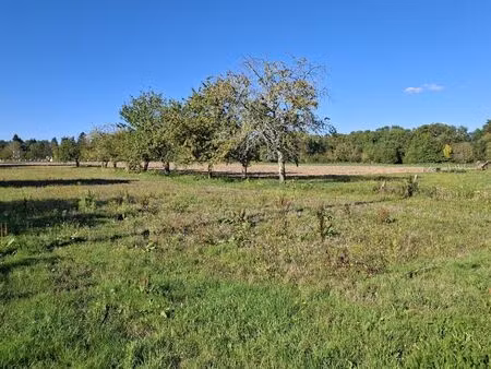 vente terrain 1100 m² saint-philippe-du-seignal (33220)