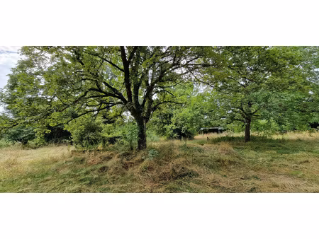 terrain constructible trept.