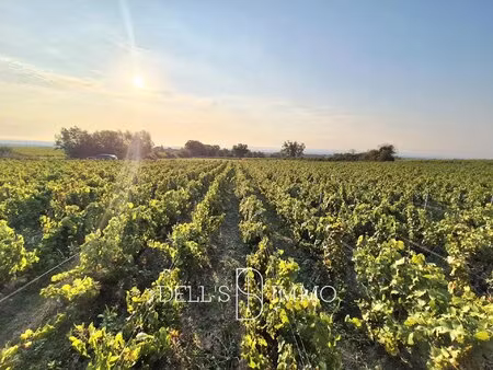 aop fleurie mécanisable  palissée  bio + pré