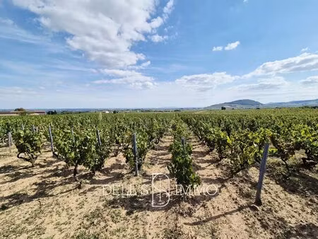 aop morgon mécanisable