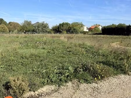 vente terrain à montauban (82000) : à vendre / 586m² montauban