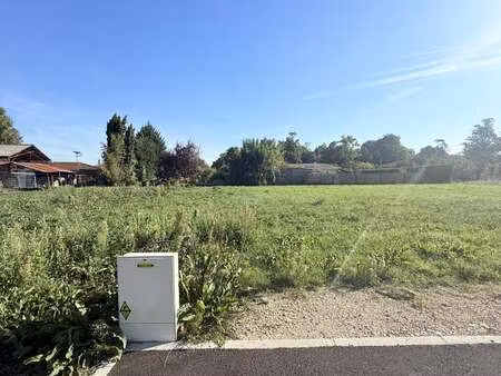 vente terrain à montauban (82000) : à vendre / 600m² montauban