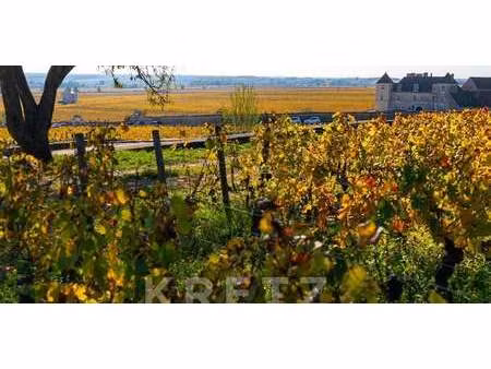 propriété vougeot (21)