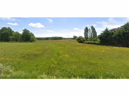 terrain constructible   plat 2824 m2