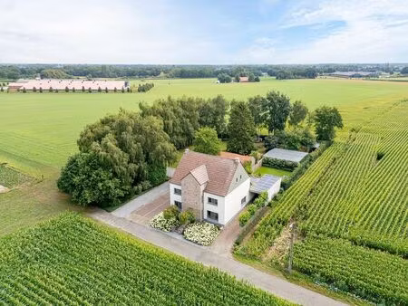 maison à vendre à molenbeersel € 798.000 (lf3t5) - heylen vastgoed - genk | zimmo
