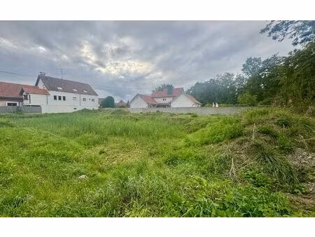 terrain krautwiller m² t- à vendre  114 500 €