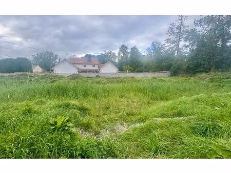 terrain krautwiller m² t- à vendre  114 000 €