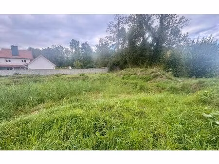 terrain krautwiller m² t- à vendre  96 900 €