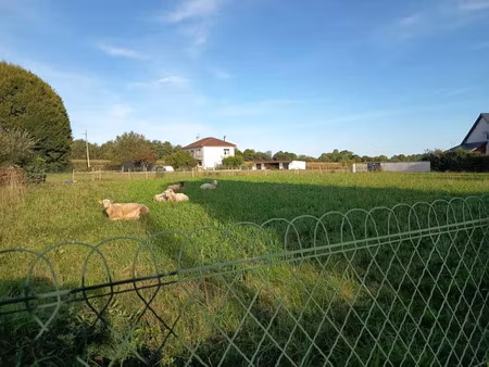 vente terrain 1077 m² à lamarque-pontacq (65380)  65 000 €