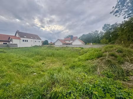 vente terrain à batir 384 m² à krautwiller (67170)  114 500 €