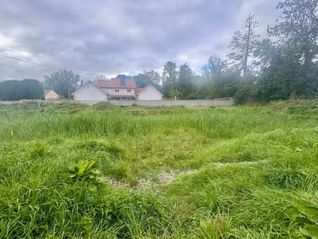 vente terrain à batir 385 m² à krautwiller (67170)  114 000 €