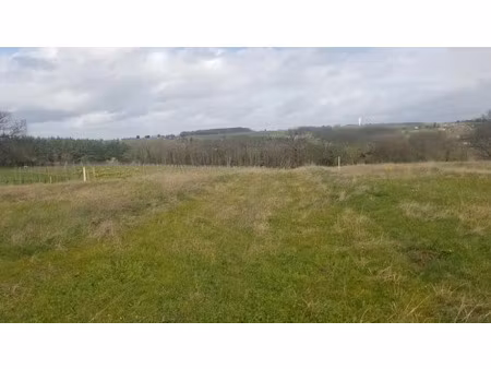 vente terrain 580 m² à croignon (33750)  65 000 €