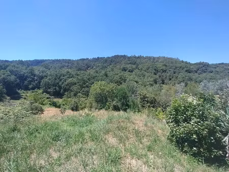 vente terrain 1300 m² à laurac-en-vivarais (07110)  59 000 €