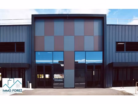 vente locaux professionnels 186 m² à montrond-les-bains (42210)  300 000 €