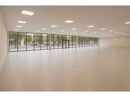 local commercial - 530m ²