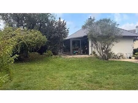 monsieur stéphane de angelis