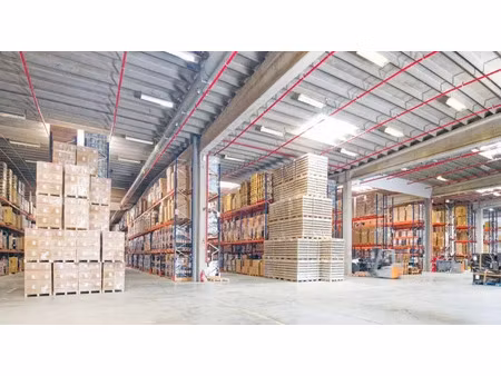 location - bâtiment logistique avec bureaux - 7 528m² - templemars