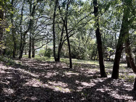 vente terrain  1593.00m²  miremont