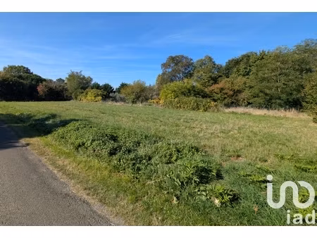 vente terrain à bâtir 1 229 m²