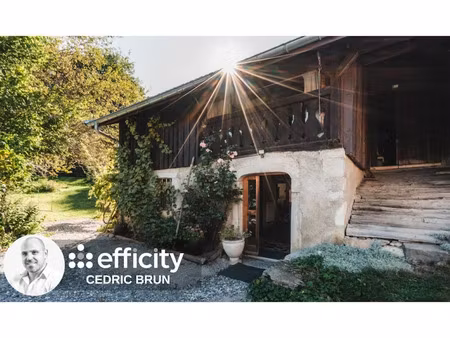 vente maison 7 pièces 172 m² à mont-saxonnex (74130)  549 000 €