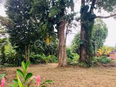 vente terrain 738 m² à capesterre belle eau (97130)  99 600 €