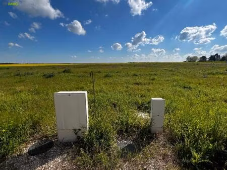 terrain constructible